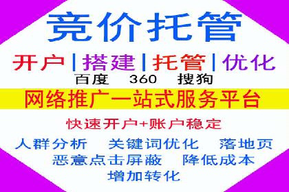 不同平台下的关键词竞价排名策略比较与案例分析